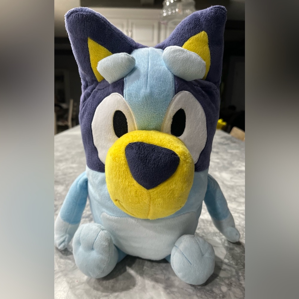 Bluey Stuffie 
Excellent condition